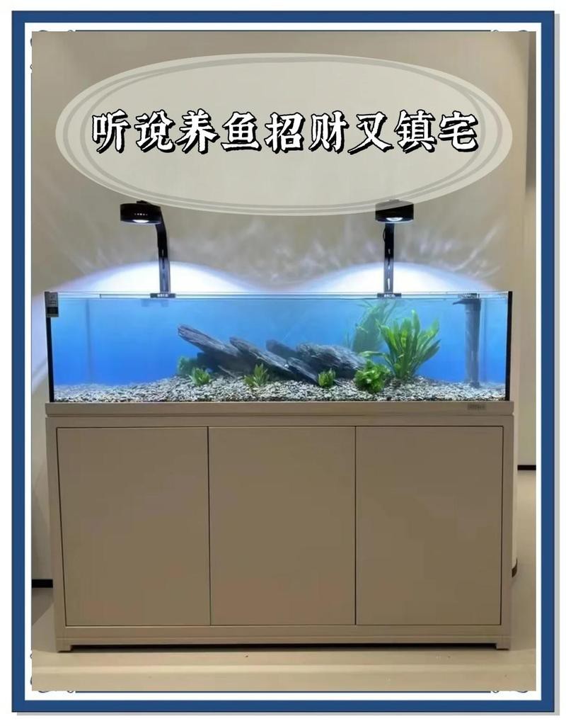 鯊魚家養吉不吉利