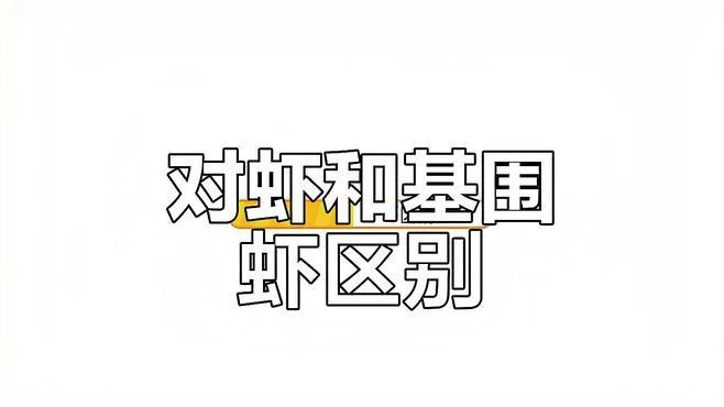 對蝦和基圍蝦的區別 龍魚論壇 第5張 對蝦和基圍蝦的區別 對蝦和基圍蝦的區別 龍魚論壇 第5張