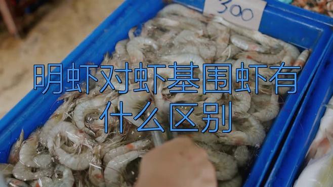 對蝦和基圍蝦的區別 對蝦和基圍蝦的區別 龍魚論壇 第2張