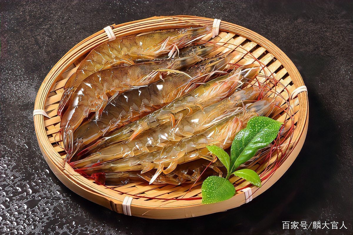對蝦和基圍蝦的區別 龍魚論壇 第6張 對蝦和基圍蝦的區別 對蝦和基圍蝦的區別 龍魚論壇 第6張