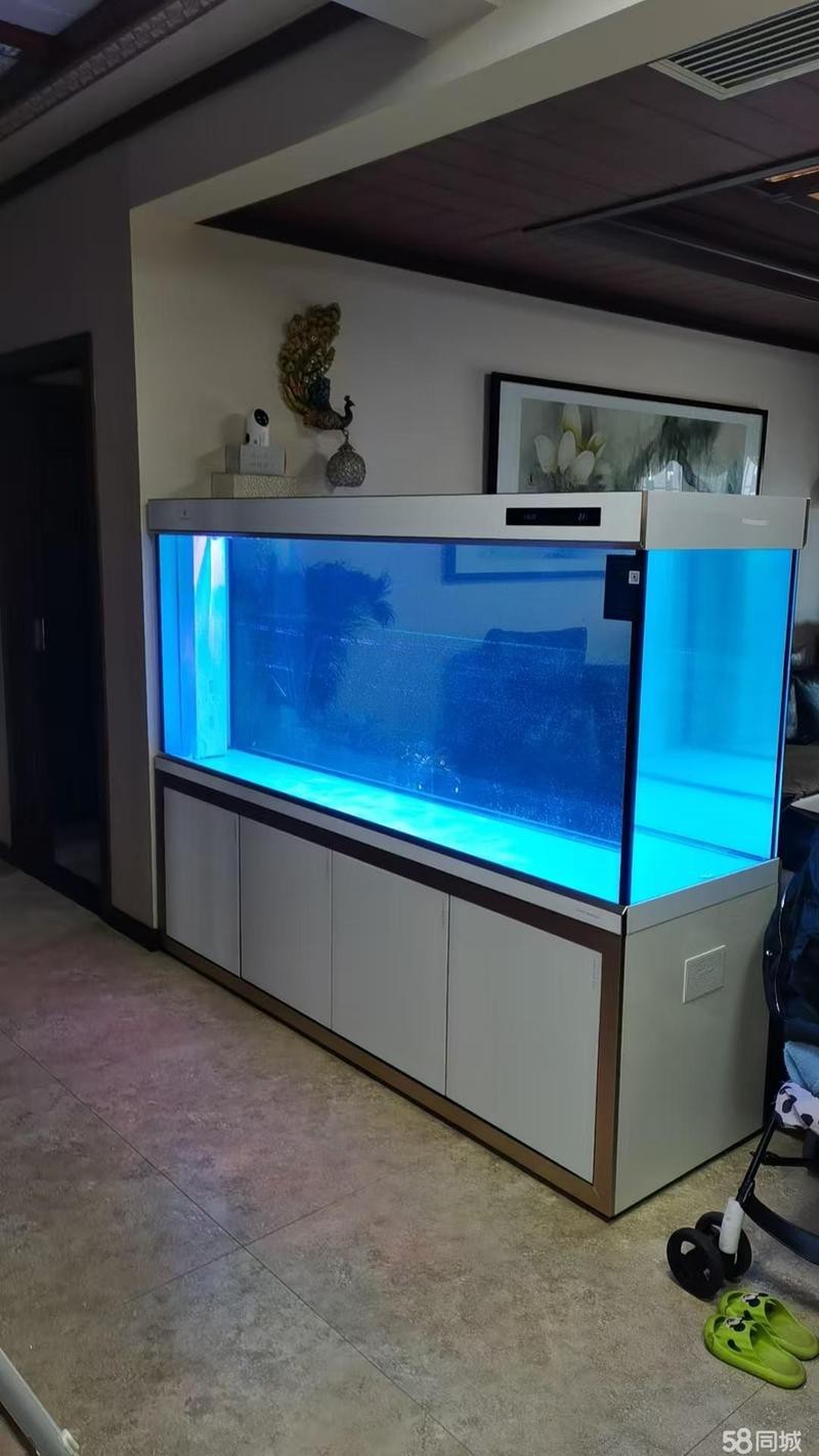寶雞龍魚缸專賣店地址電話
