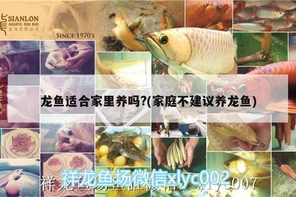 呼和浩特市回民區鴻明水族經銷店（呼和浩特市回民區鴻明水族經銷店在哪）