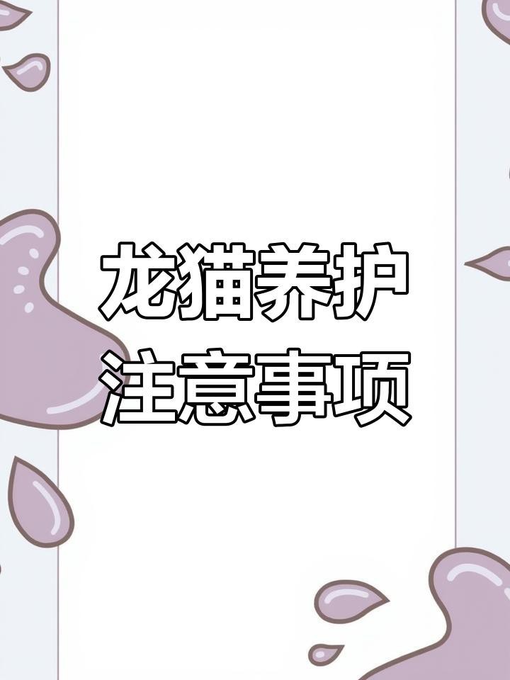 龍貓為什么不能隨便養 龍貓為什么不能隨便養 龍魚論壇 第4張