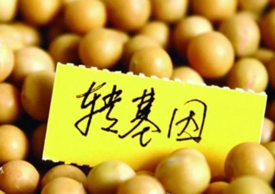 東勝區(qū)凱虹水族館（東勝區(qū)凱虹水族館電話） 東勝區(qū)凱虹水族館（東勝區(qū)凱虹水族館電話） 全國水族館企業(yè)名錄