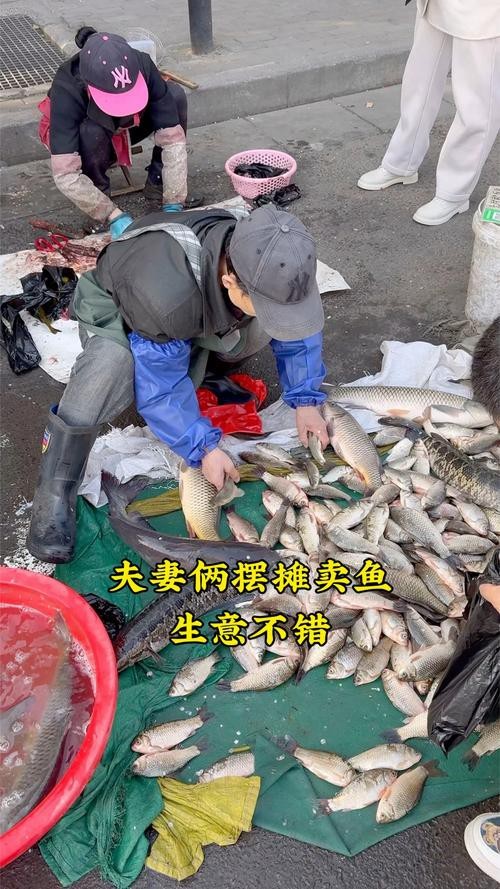 鄭州哪個(gè)市場(chǎng)賣龍魚便宜又好