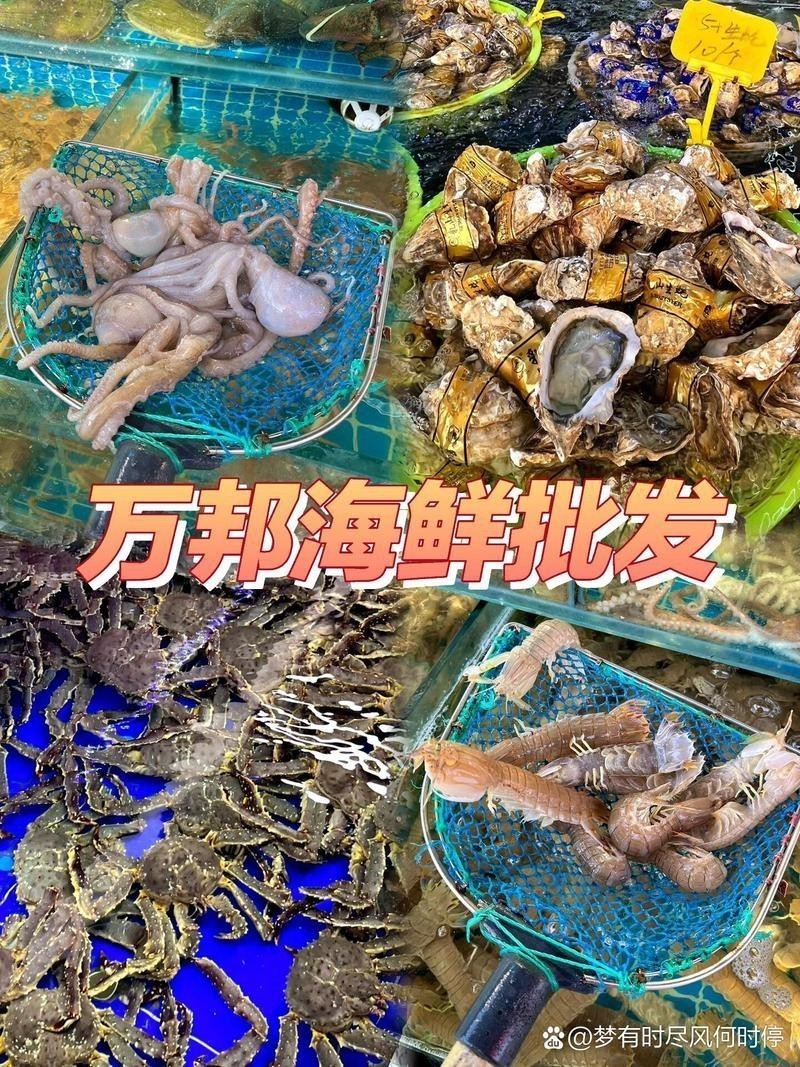 鄭州哪個(gè)市場(chǎng)賣龍魚便宜又好