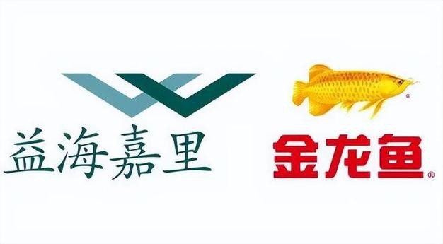 金龍魚logo圖片