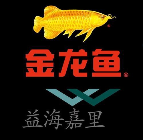 金龍魚logo圖片
