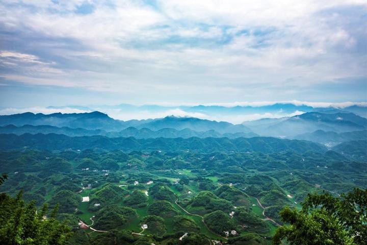 風水的龍病龍怎么樣子