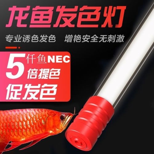 龍魚發色燈15000k和6700k