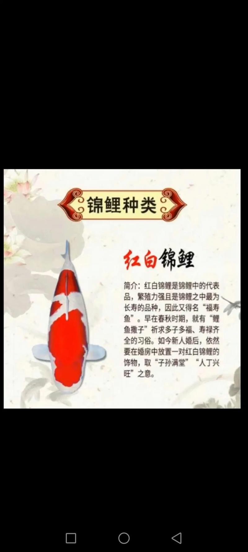 大正與昭和的區別圖片