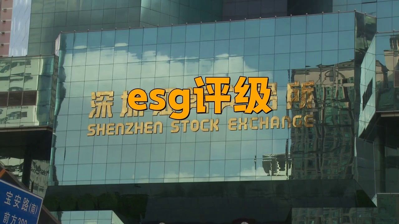 金龍魚投資價值 金龍魚投資價值 龍魚百科 第3張