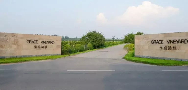 魚缸增氧泵原理及維修方法（如何自制簡易增氧裝置增氧泵維護周期建議） 魚缸增氧泵原理及維修方法（如何自制簡易增氧裝置增氧泵維護周期建議） 魚缸百科