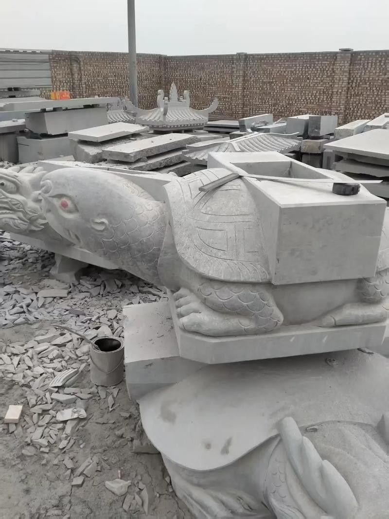 給我一張龍龜擺放的實物圖片參考 給我一張龍龜擺放的實物圖片參考 龍魚百科 第6張