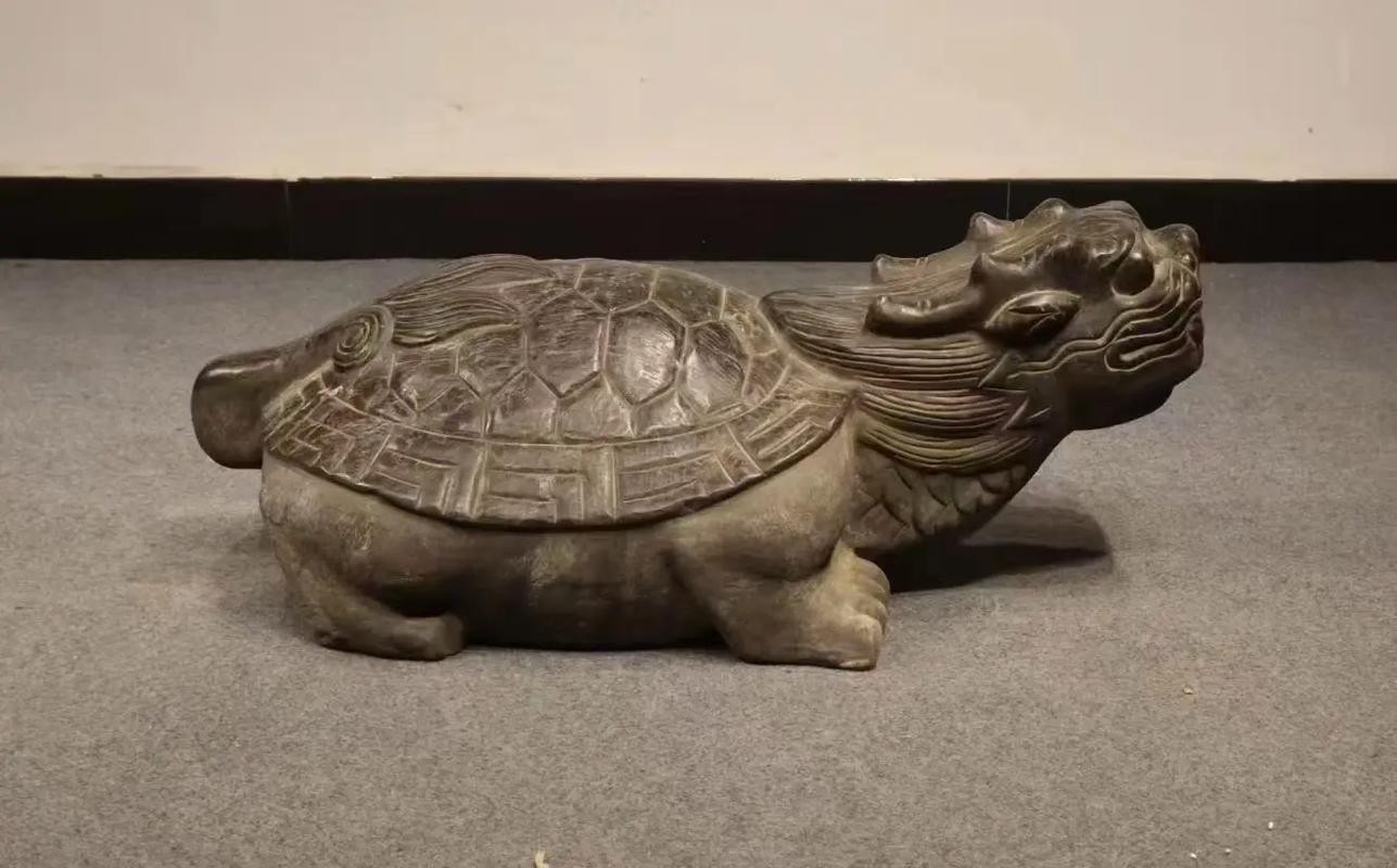 給我一張龍龜擺放的實物圖片參考 給我一張龍龜擺放的實物圖片參考 龍魚百科 第7張