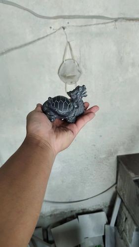 給我一張龍龜擺放的實物圖片參考 給我一張龍龜擺放的實物圖片參考 龍魚百科 第11張