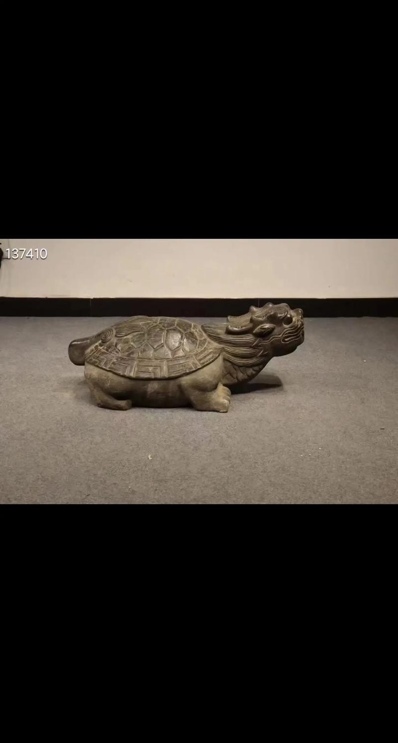 給我一張龍龜擺放的實物圖片參考 給我一張龍龜擺放的實物圖片參考 龍魚百科 第27張