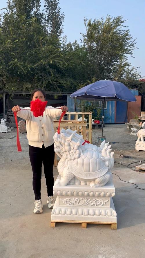 給我一張龍龜擺放的實物圖片參考 給我一張龍龜擺放的實物圖片參考 龍魚百科 第26張