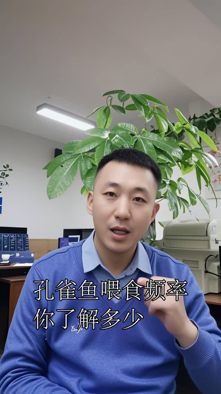 孔雀魚三天喂一次行嗎