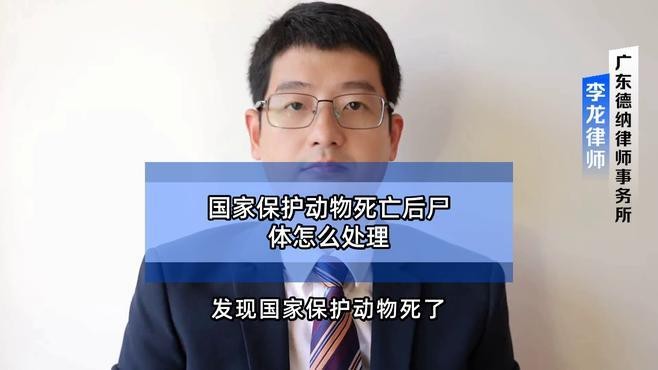 六角龍遺體火化需要哪些手續？