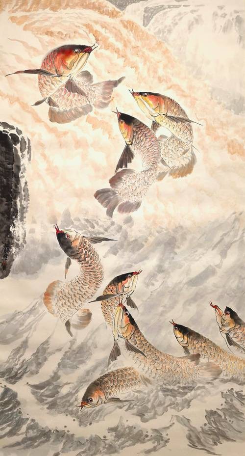 銀龍魚圖片及價格（銀龍魚價值多少錢） 銀龍魚圖片及價格（銀龍魚價值多少錢） 銀龍魚百科 第14張
