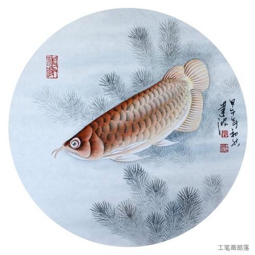 銀龍魚圖片及價格（銀龍魚價值多少錢） 銀龍魚圖片及價格（銀龍魚價值多少錢） 銀龍魚百科 第15張