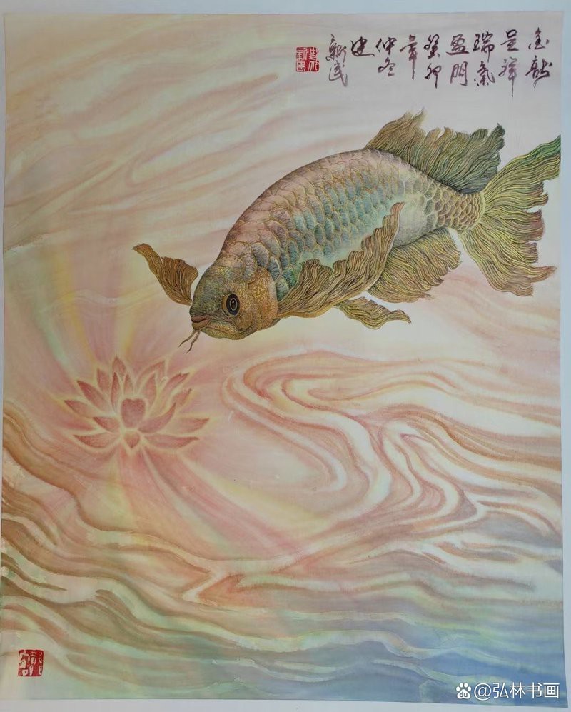 銀龍魚圖片及價格（銀龍魚價值多少錢） 銀龍魚圖片及價格（銀龍魚價值多少錢） 銀龍魚百科 第25張