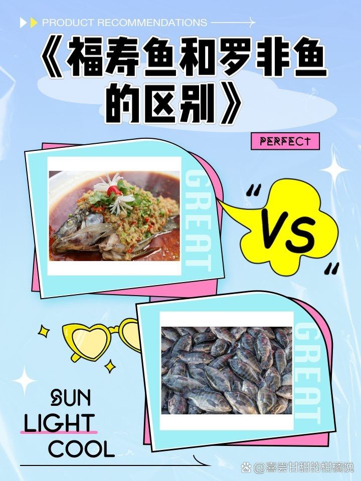 福壽魚跟羅非魚一樣嗎 福壽魚跟羅非魚一樣嗎 龍魚論壇 第5張