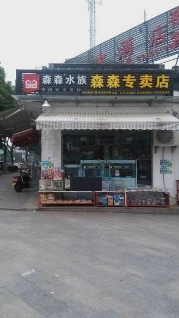 森森水族實體店地址查詢 森森水族實體店地址查詢 龍魚論壇 第1張