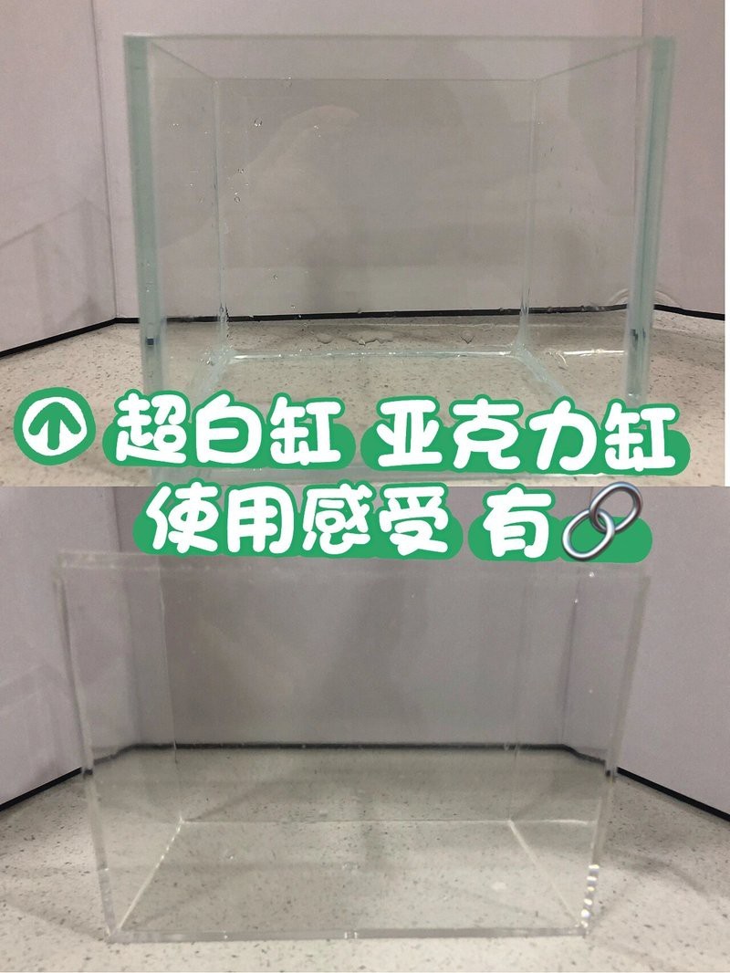 森森水族實體店地址查詢 森森水族實體店地址查詢 龍魚論壇 第7張
