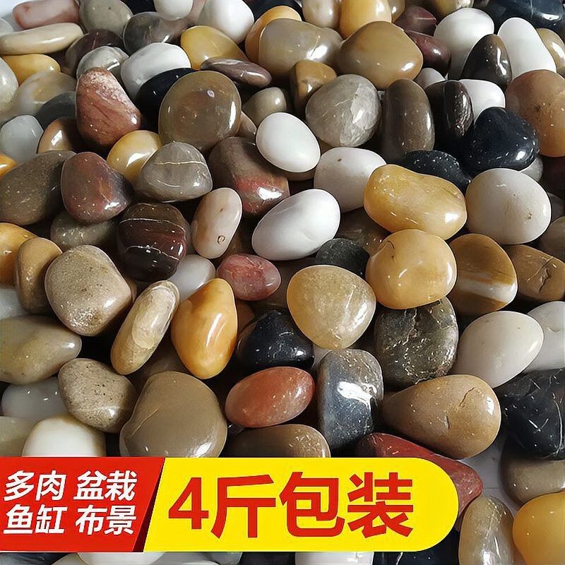 十大魚缸造景石排名