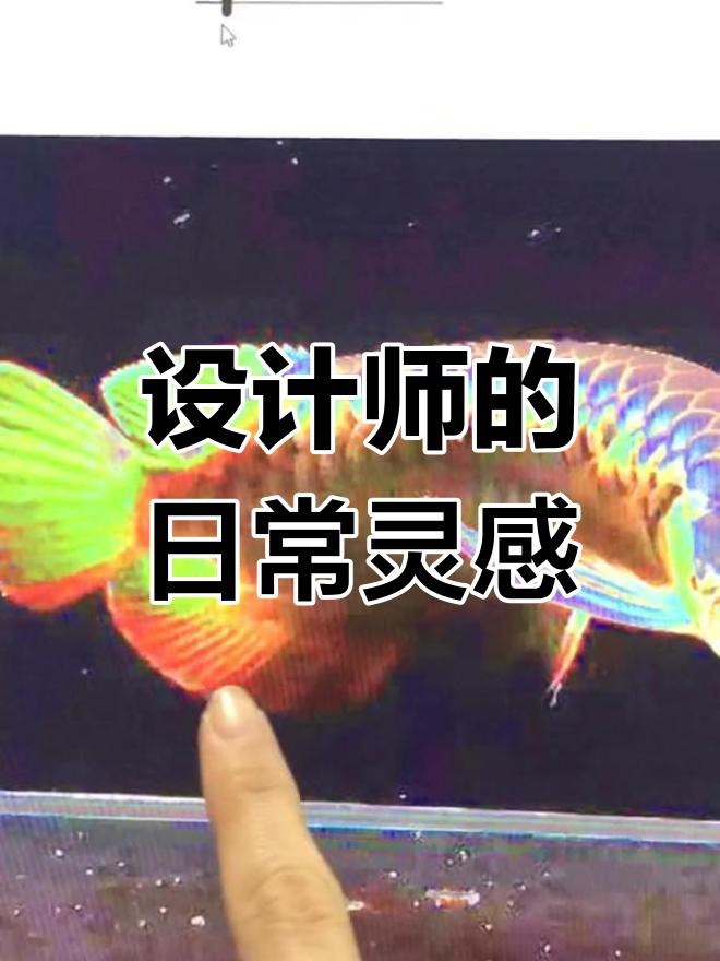 張家港市楊舍東城亮點水族商行(張家港水族店) 全國水族館企業名錄 第8張 張家港市楊舍東城亮點水族商行(張家港水族店) 張家港市楊舍東城亮點水族商行(張家港水族店) 全國水族館企業名錄 第8張