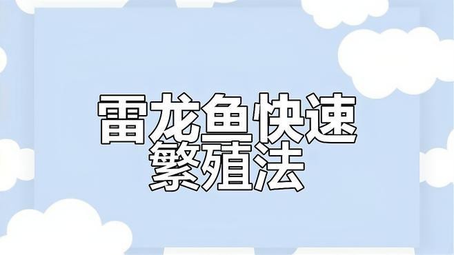 彩虹雷龍的最佳繁殖條件是什么？ 彩虹雷龍的最佳繁殖條件是什么？ 龍魚論壇 第2張