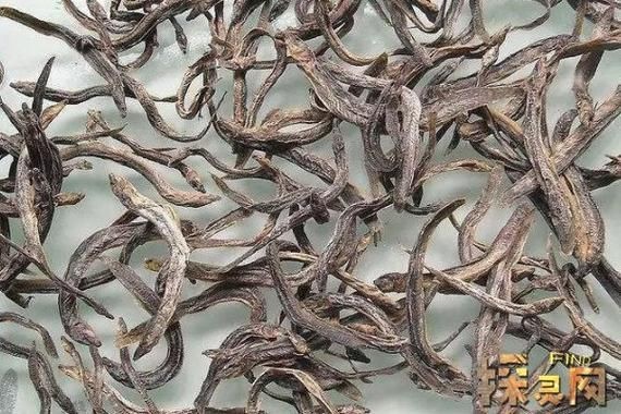 紅狼牙鰕虎魚價(jià)格表圖