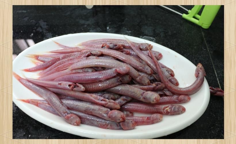 紅狼牙鰕虎魚價(jià)格表圖