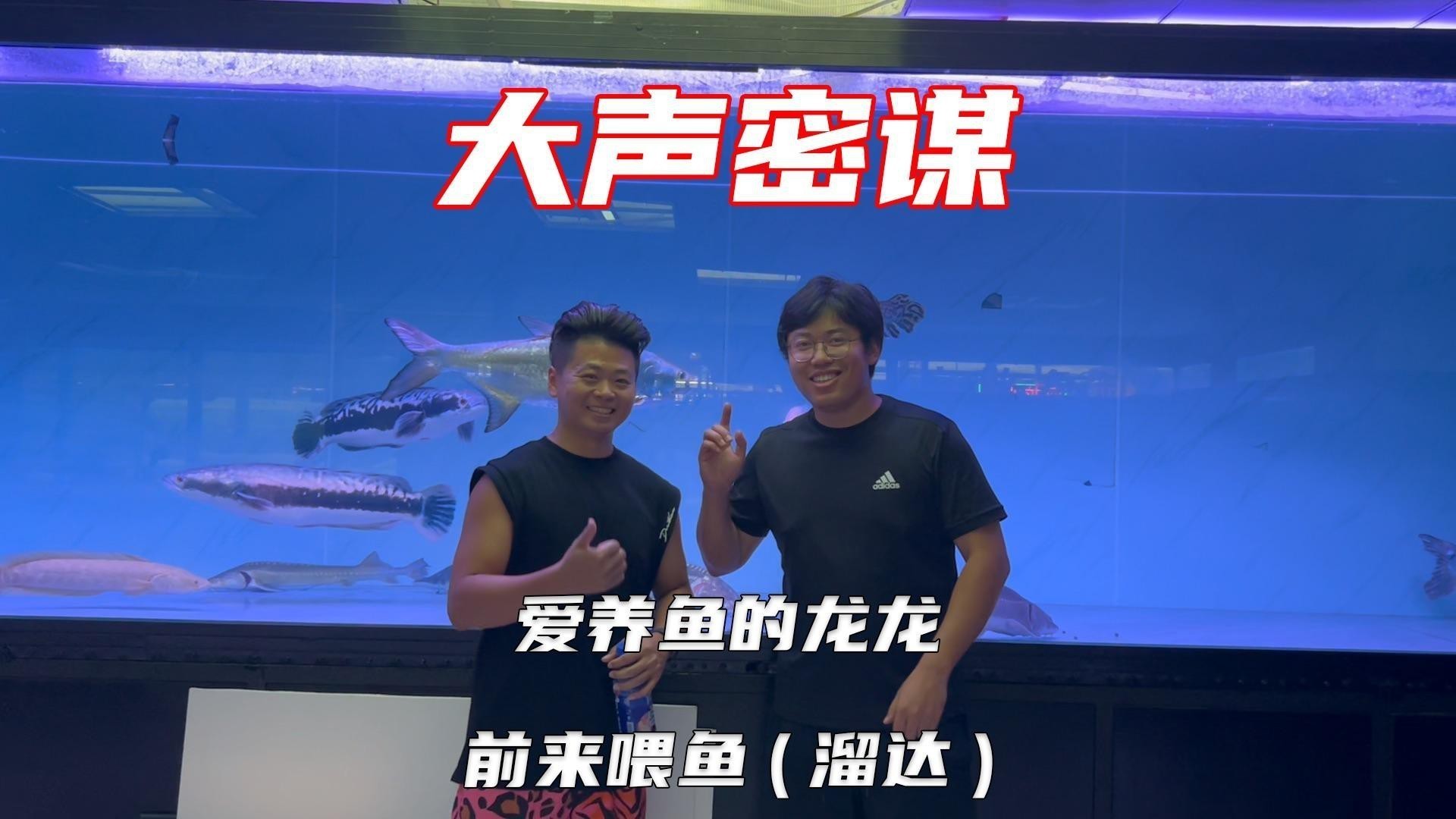 如何欣賞龍龍養魚視頻？ 如何欣賞龍龍養魚視頻？ 龍魚論壇 第3張