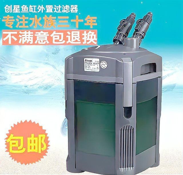 魟魚不能和什么魚混養(yǎng)