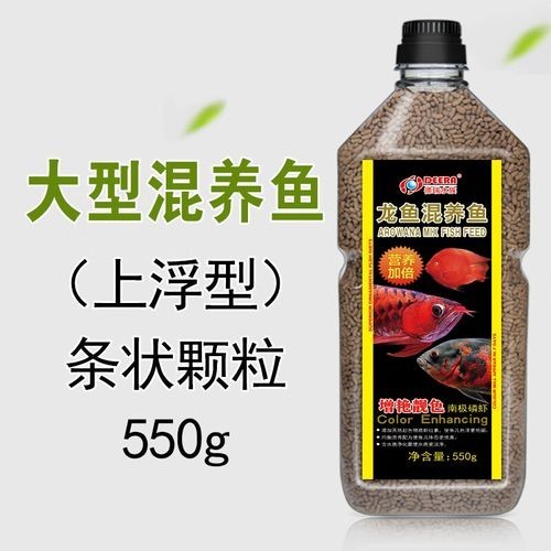 銀龍魚可以和紅鸚鵡養一塊嗎圖片