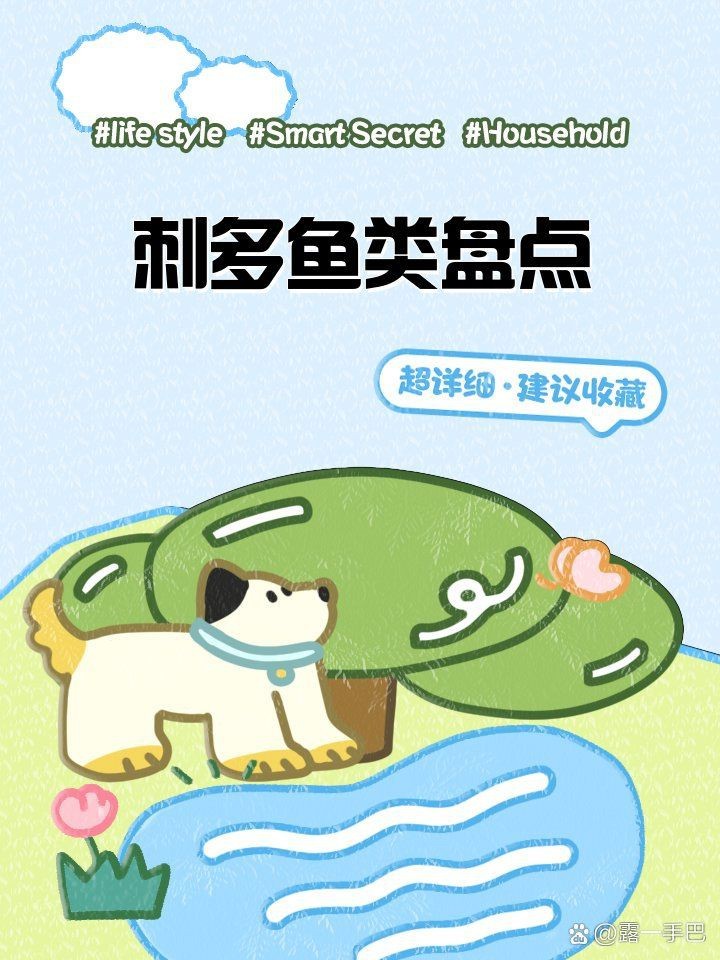 海里刺最多的魚 龍魚論壇 第3張 海里刺最多的魚 海里刺最多的魚 龍魚論壇 第3張