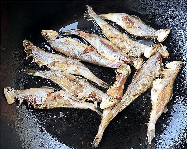 海里刺最多的魚 龍魚論壇 第7張 海里刺最多的魚 海里刺最多的魚 龍魚論壇 第7張