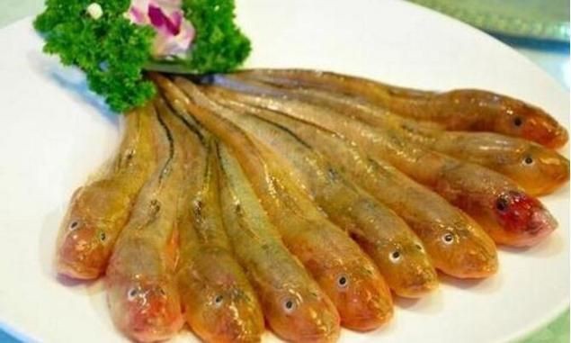 逛魚長什么樣子圖片 逛魚長什么樣子圖片 龍魚論壇 第25張