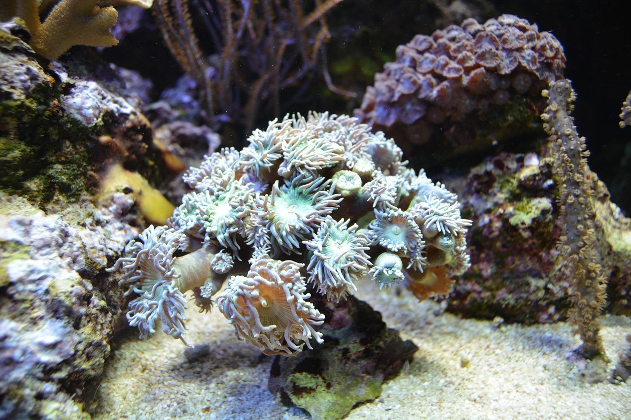 廣西兩江海洋生物科技有限公司（廣西兩江海洋生物科技有限公司招聘）