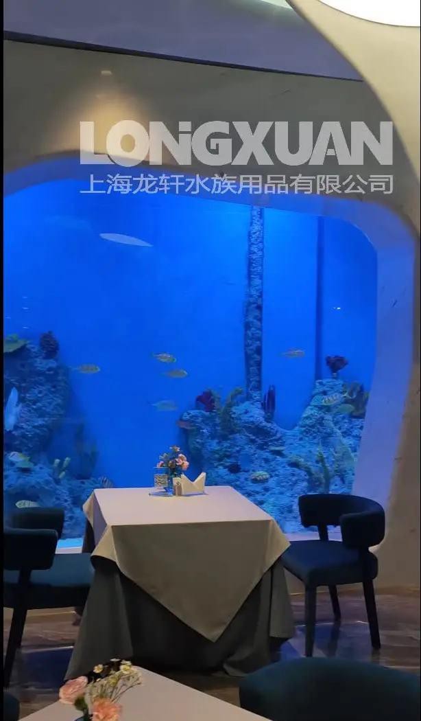 專業定做魚缸觀賞魚龍魚世家水族館可以