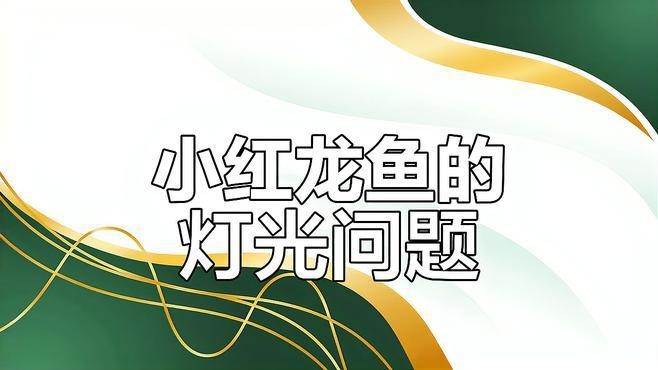 老孫養(yǎng)龍魚有哪些經(jīng)典案例？ 老孫養(yǎng)龍魚有哪些經(jīng)典案例？ 龍魚論壇 第1張