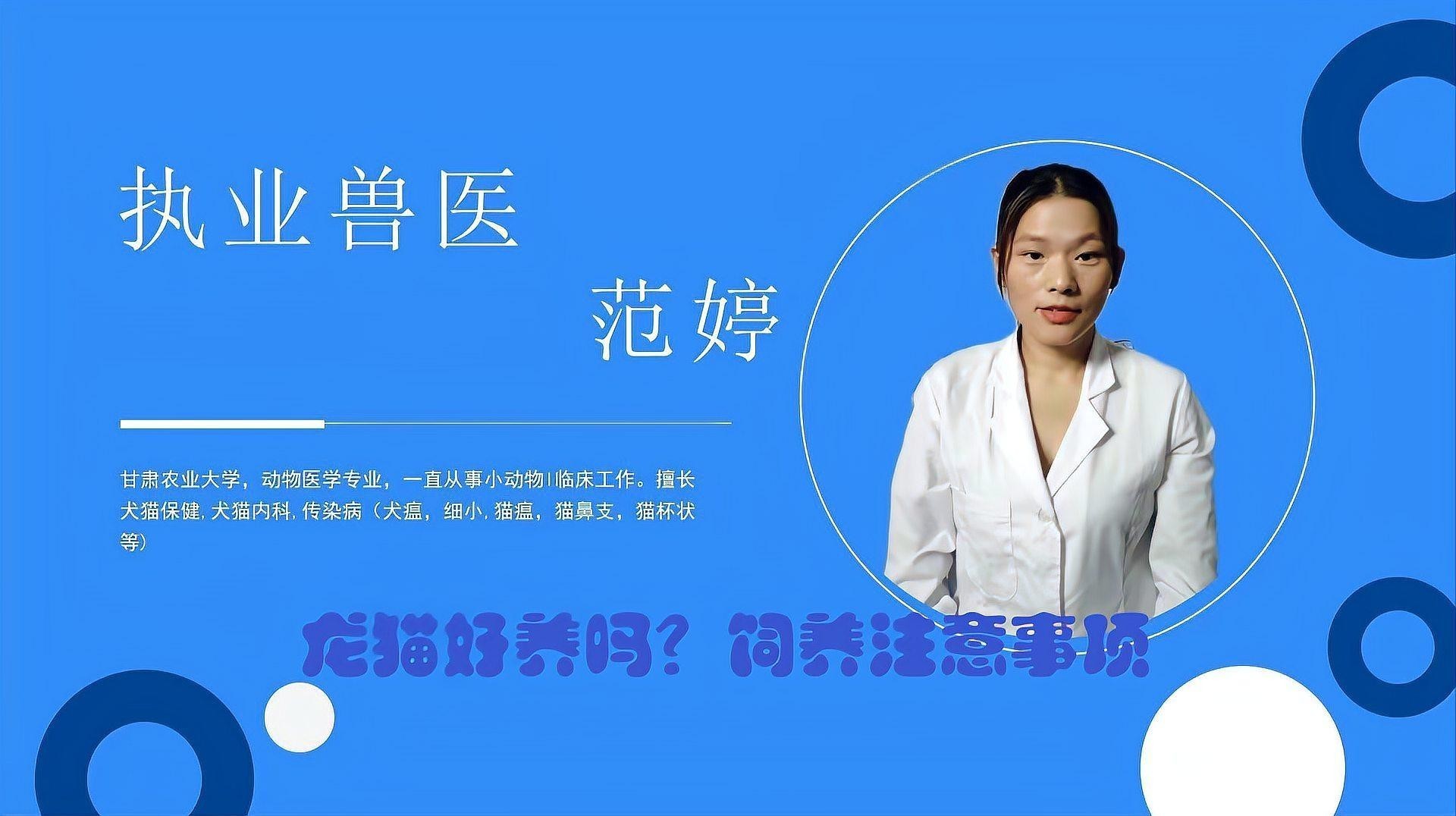 龍貓多久會適應(yīng)新伙伴？