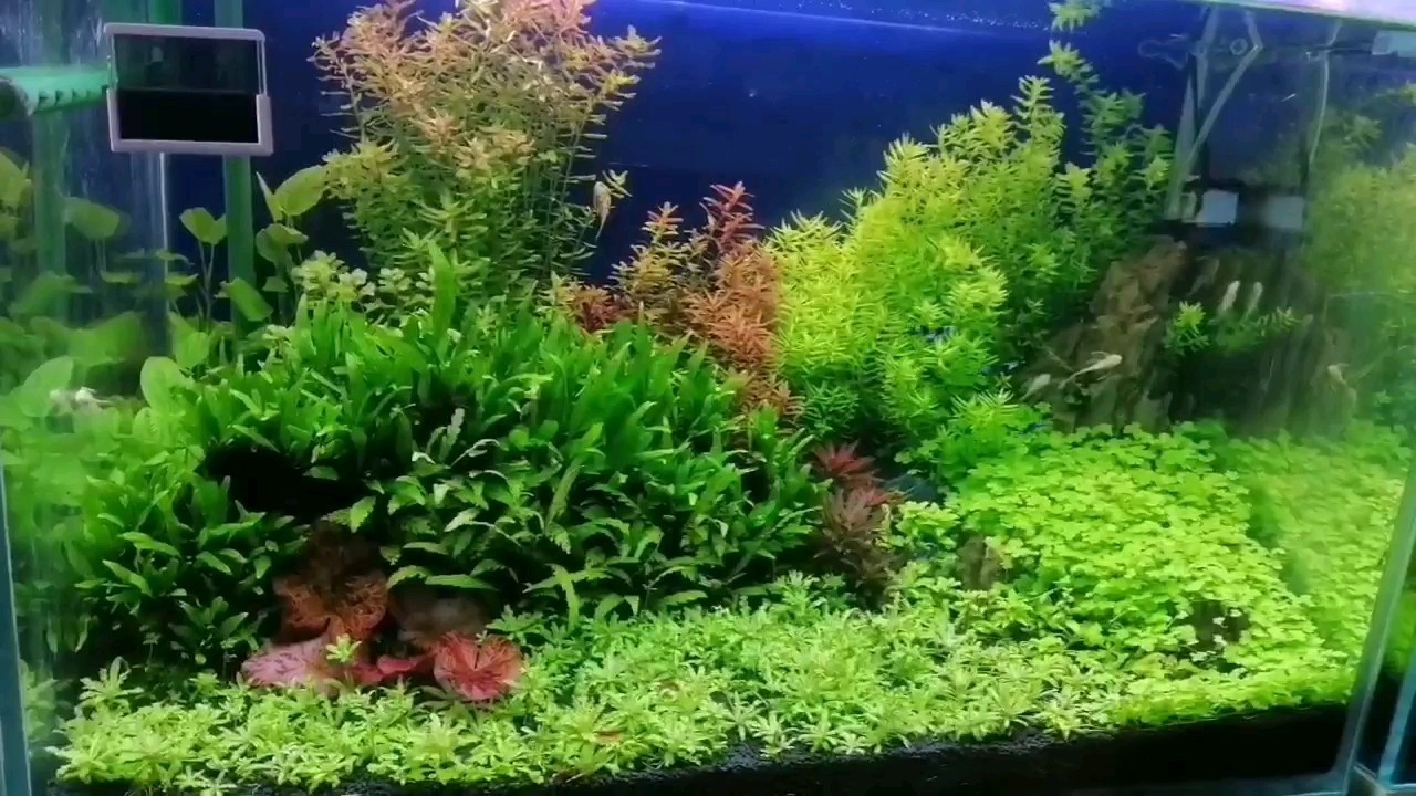 上海的門店真是太小了