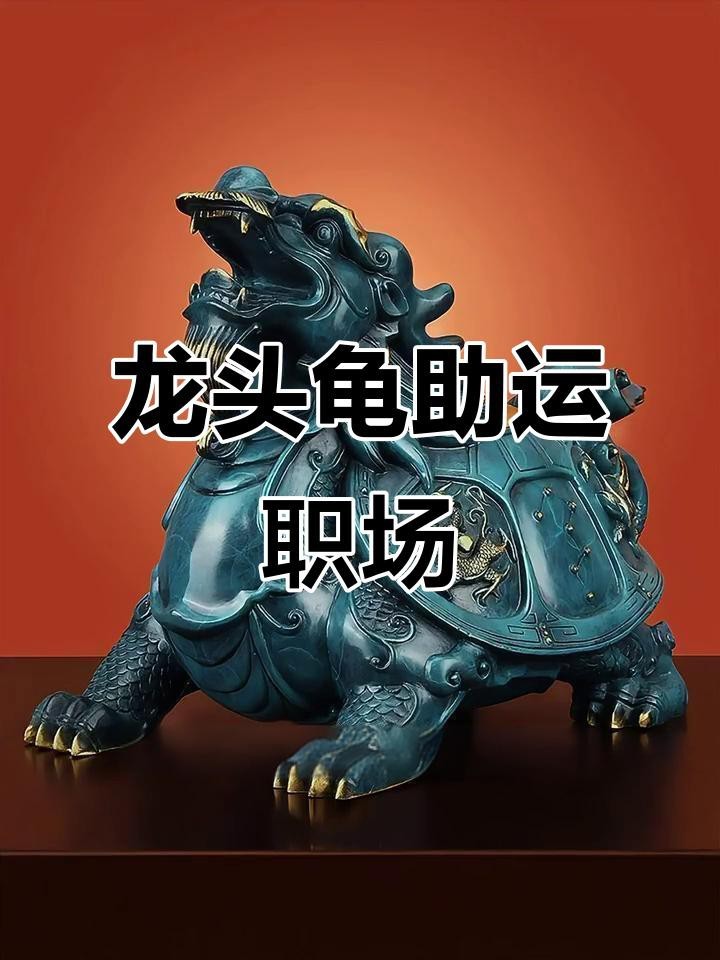 龍龜飾品適合哪些人群佩戴