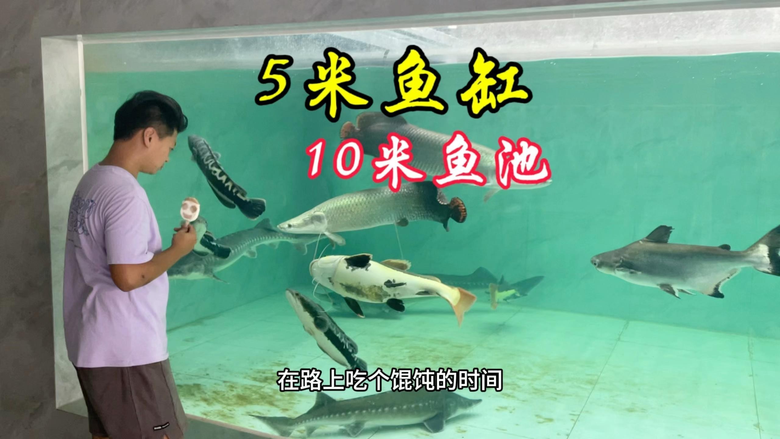 龍龍養魚視頻有哪些經典場景？