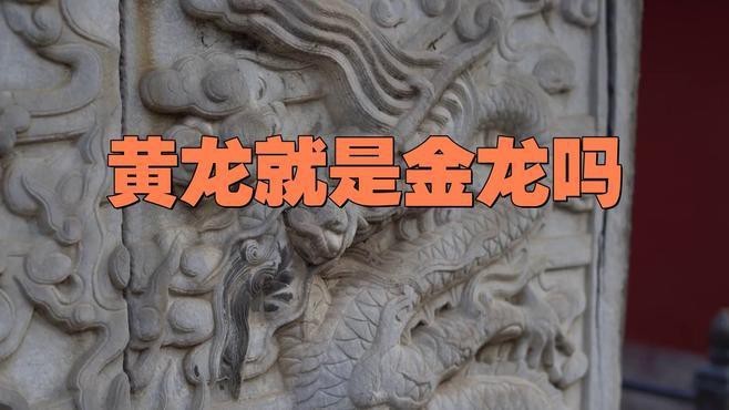黃龍和金龍的區別