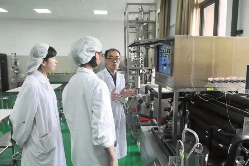 龍魚酥的推薦食用量是多少？